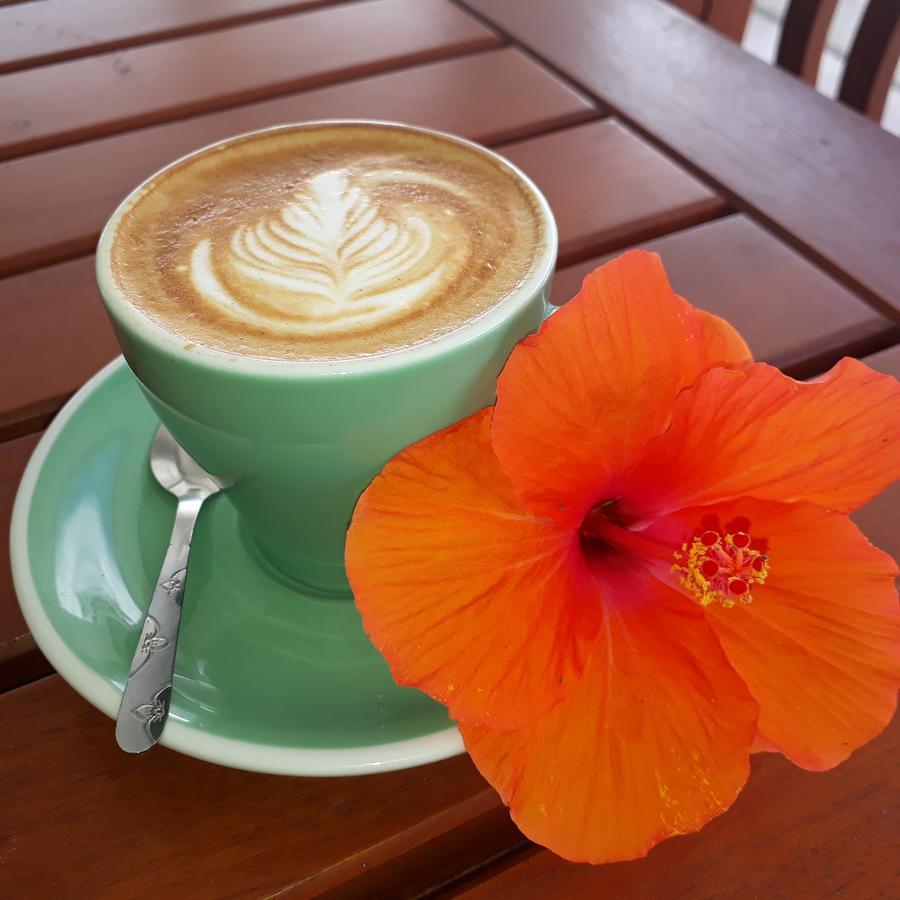Samoana Boutique Hotel 阿皮亚 外观 照片